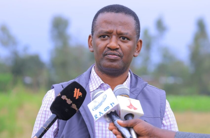 ወጣቶችን በኢንተርፕራይዝ በማደራጀት ኢኮኖሚያዊ ተጠቃሚነታቸውን እንዲያረጋግጡ ትኩረት ተሰጥቶት እየተሰራ መሆኑን ምክትል ርዕሰ መስተዳደር አበባየሁ ታደሰ (ዶ/ር) ገለጹ