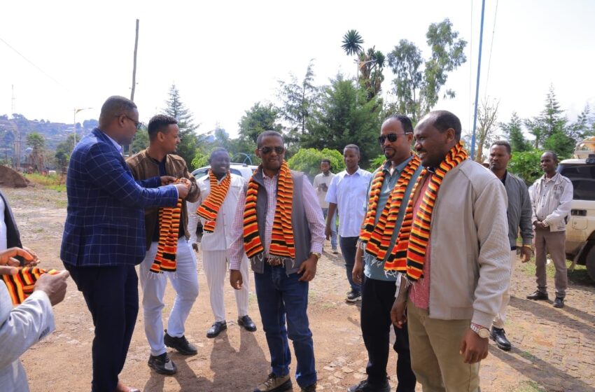 “የቴክኒክና ሙያ ኮሌጆች የስራ ዕድል ፈጠራን ከስልጠና ጋር በማስተሳሰር የውስጥ ገቢን ማሳደግ ይገባቸዋል” ፦ምክትል ርዕሰ መስተዳደር አበባየሁ ታደሰ (ደ/ር)