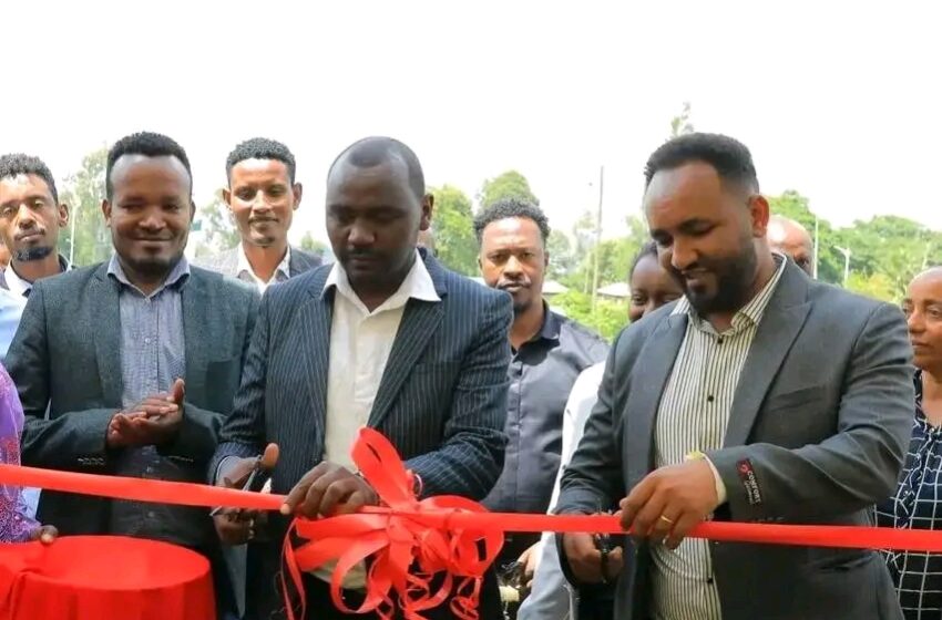 የቴክኒክና ሙያ ተቋማት በክህሎት የበለፀጉ ችግር ፈቺ ዜጎችን በማፍራት ረገድ የጎላ ኃላፊነት እንዳለባቸው ተገለፀ::