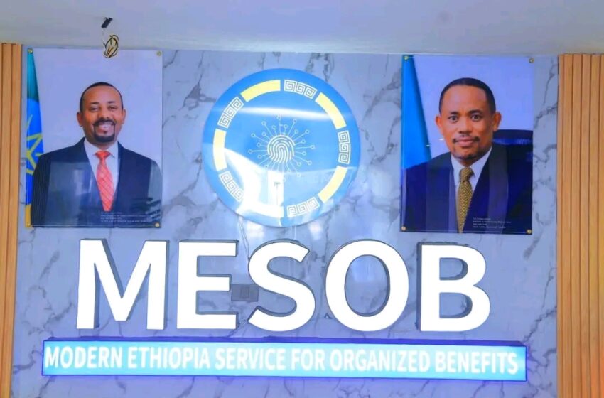 “መንግስት ለዜጎች ዘመናዊ፣ ፈጣን፣ ፍትሐዊ እና ከሙስና የጸዳ ዲጂታል አገልግሎትን ለማቅረብ አበክሮ እየሰራ ይገኛል” ርዕሰ መስተዳድር ጥላሁን ከበደ
